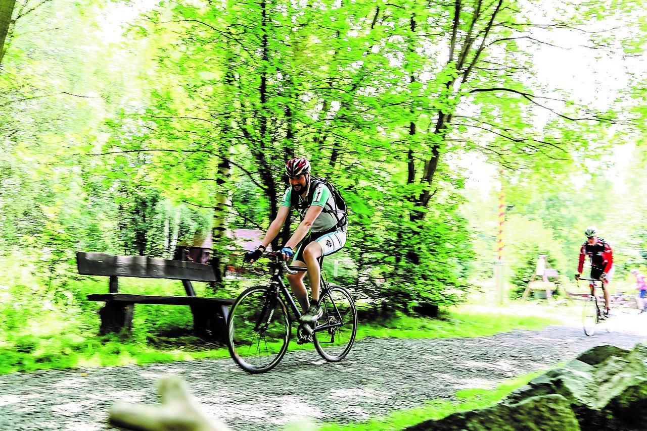 Parkhotel Bad Harzburg Eksteriør billede